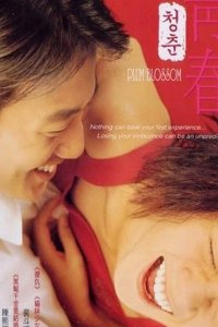 Сливовый цвет