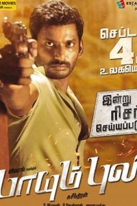 По прозвищу «Тигр»